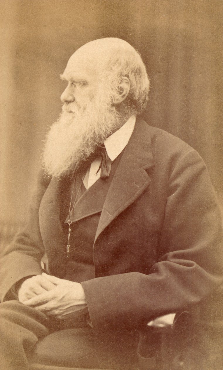 Porträtt av Charles Darwin vid 72 års ålder, ca 1871 (albumintryck) av Oscar Gustav Rejlander