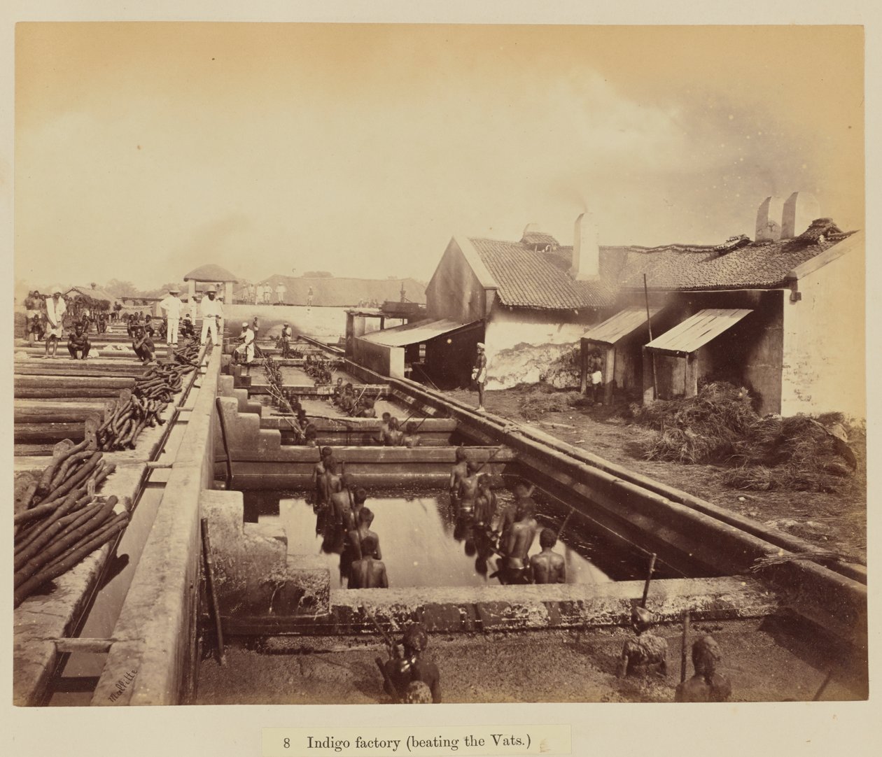 Indigo factory (lastar karen) av Oscar Jean Baptiste Mallitte