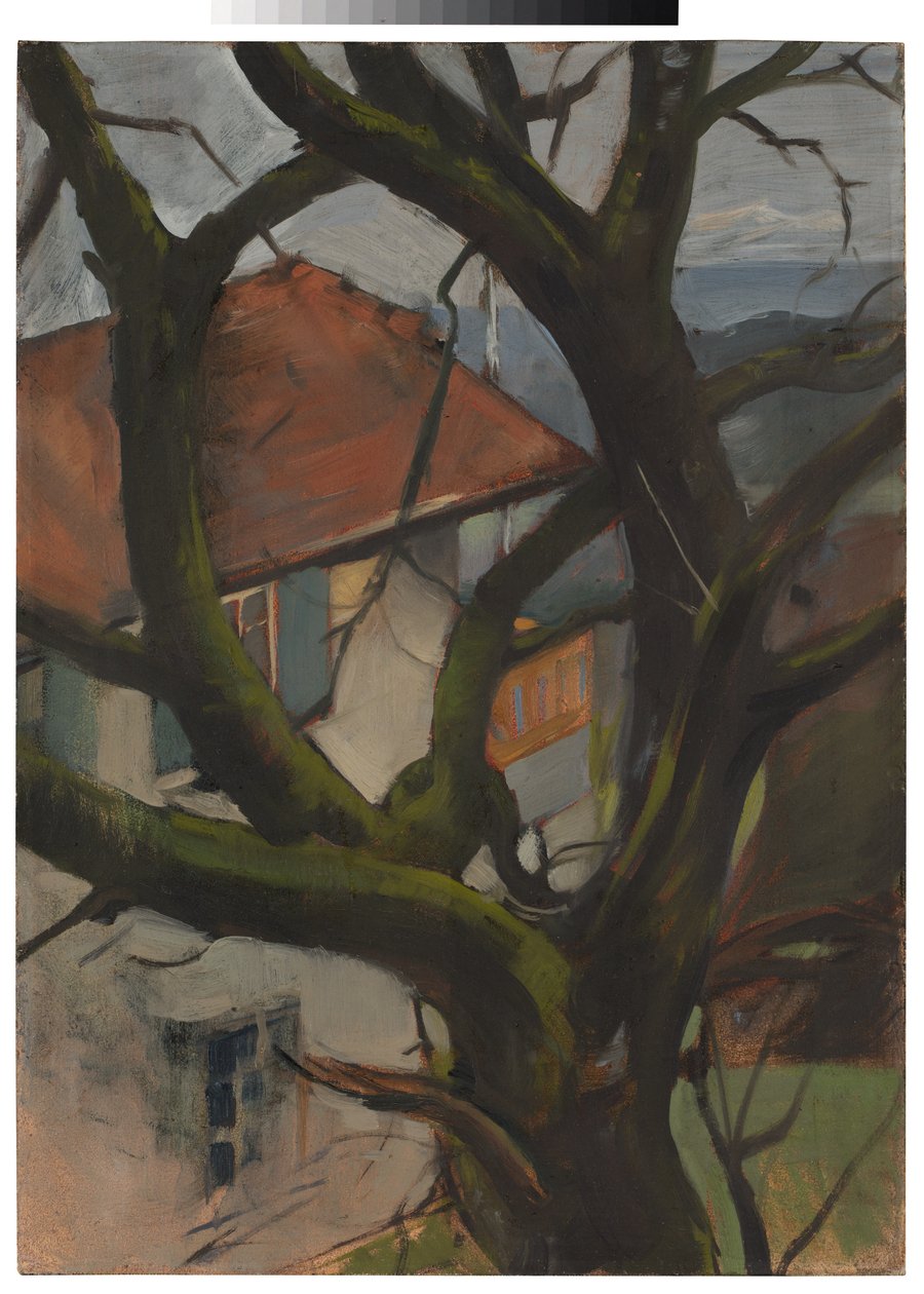 Eichberger-huset med valnötsträ av Oskar Schlemmer