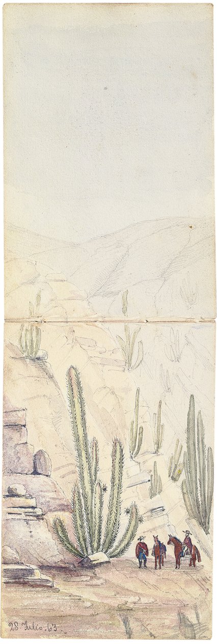 Kaktusar i Deep "Groove", 1863 av Oswald Younghusband