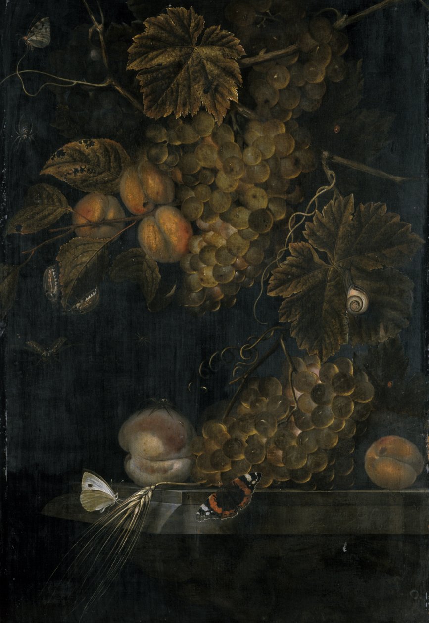 Stilleben med persikor och vindruvor, 1665 av Ottmar the Elder Elliger