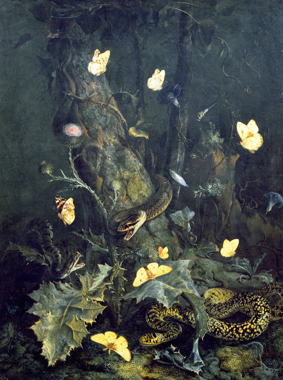 Ormar och fjärilar, 1670 av Otto Marseus  van Schrieck