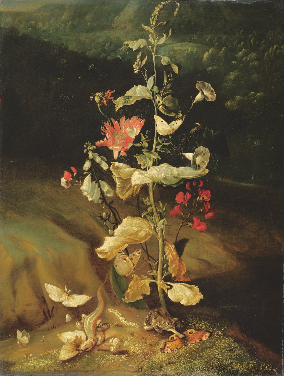 Stilleben med blommor av Otto Marseus  van Schrieck