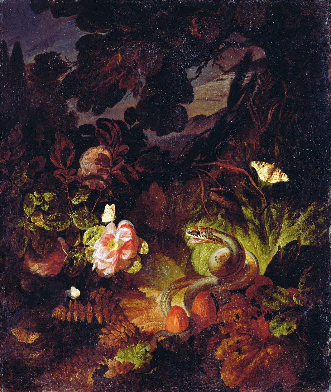 Blommor, orm och fjärilar av Otto Marseus  van Schrieck