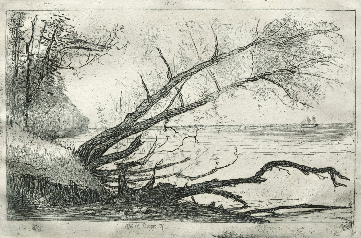 Gamla Sycamore, 1877. av Otto H. Bacher