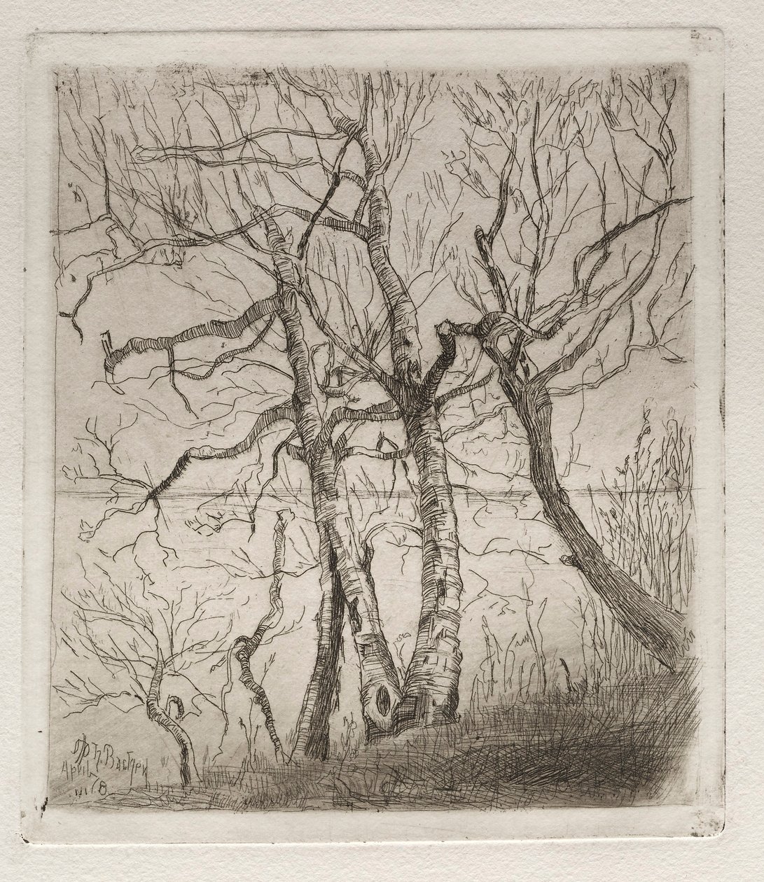 Skogen vid sjön, 1878. av Otto H. Bacher