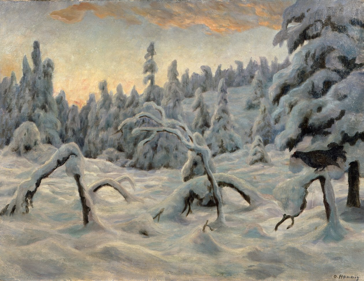 Granskog efter snöfall av Otto Henning