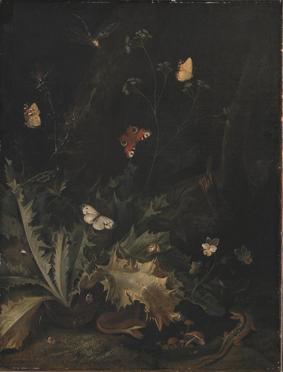 Ett skogsgolv med en tistel, en orm, en ödla och fjärilar av Otto Marseus  van Schrieck
