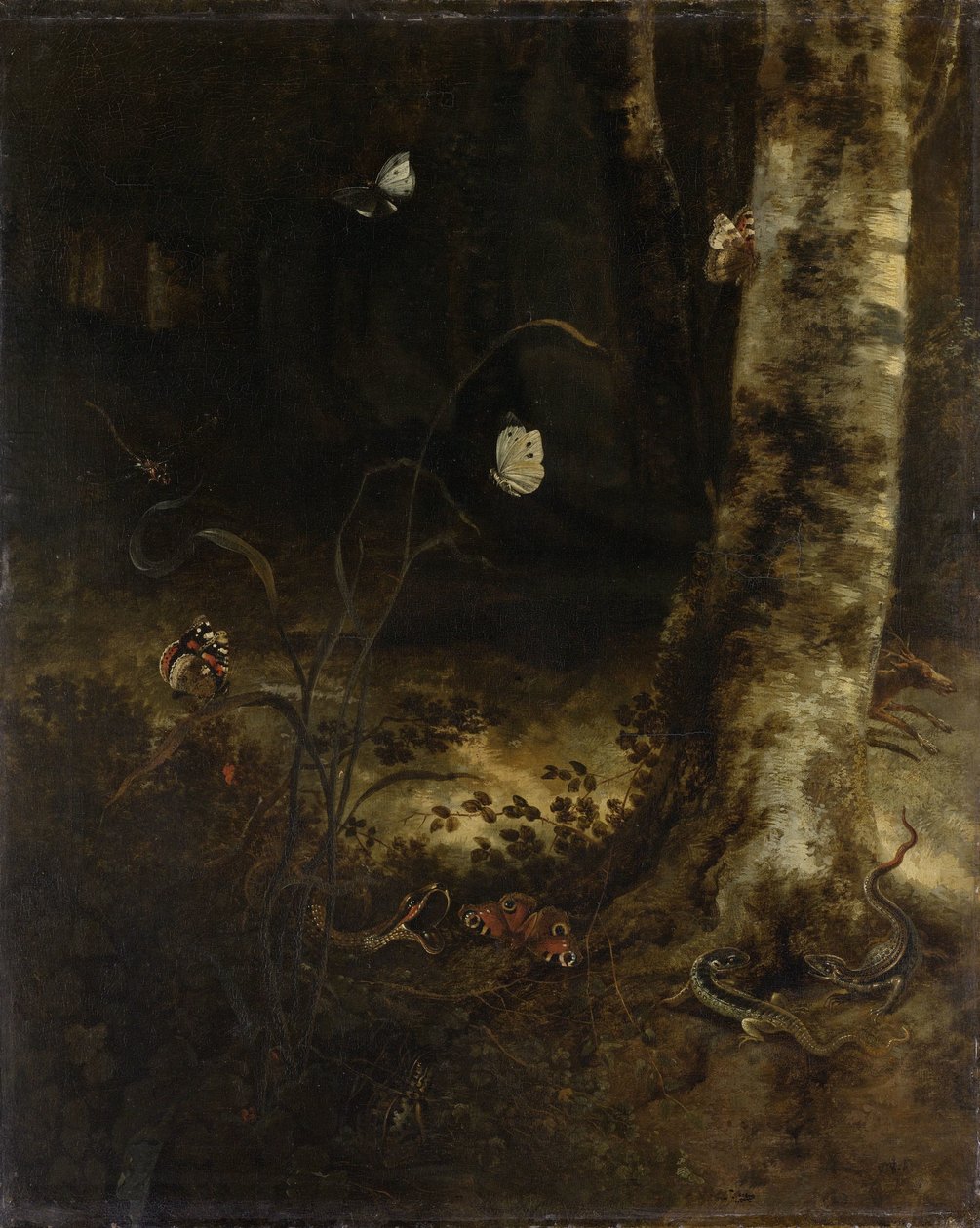 Skogsgolv med en orm, ödlor, fjärilar och andra insekter av Otto Marseus  van Schrieck