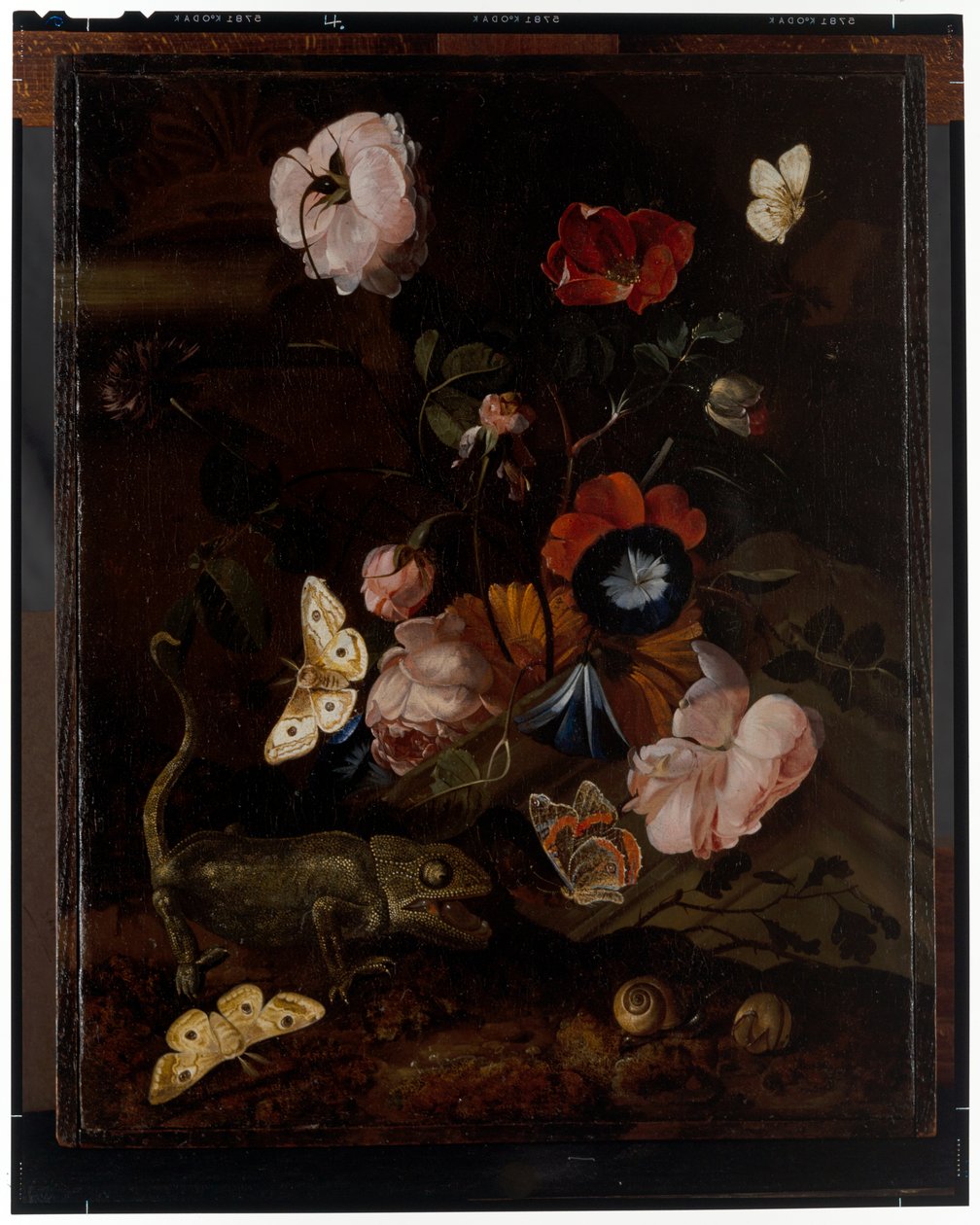 Skogsstilleben av Otto Marseus  van Schrieck