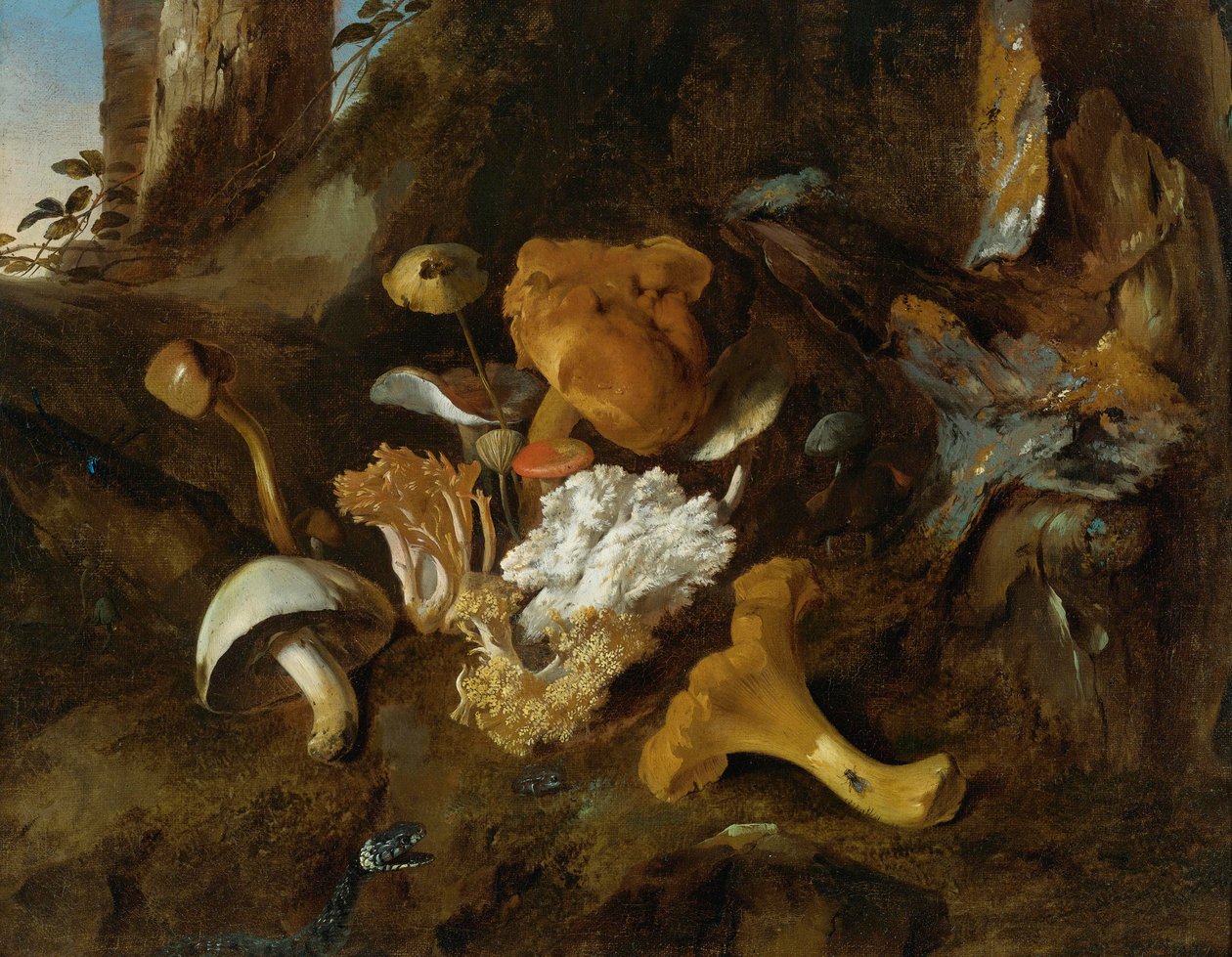 Skogsbottenstilleben med svamp, fjärilar och en orm av Otto Marseus  van Schrieck