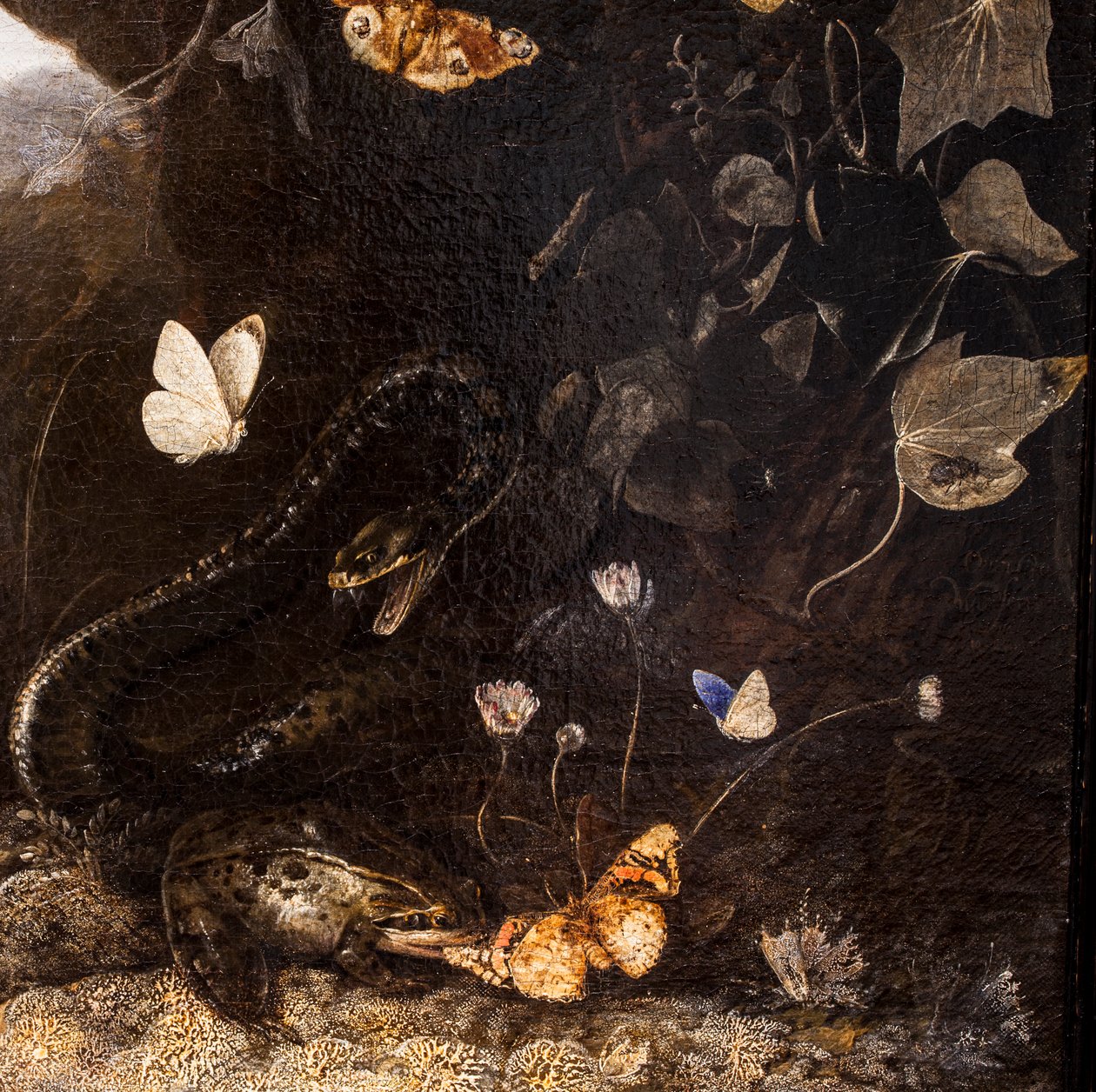 Ormar, paddor och fjärilar av Otto Marseus van Schrieck