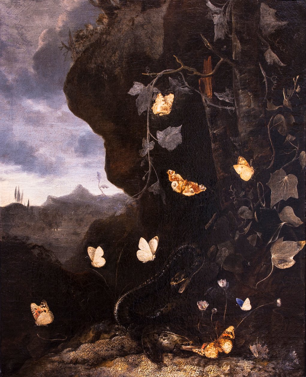 Ormar, paddor och fjärilar av Otto Marseus van Schrieck