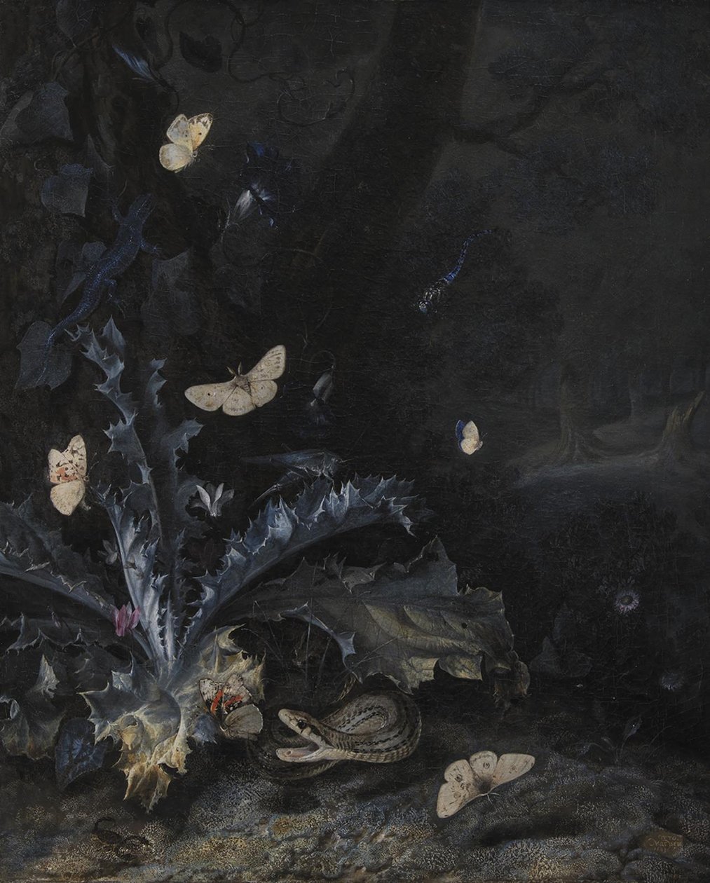 Stilleben med tistel och orm av Otto Marseus  van Schrieck
