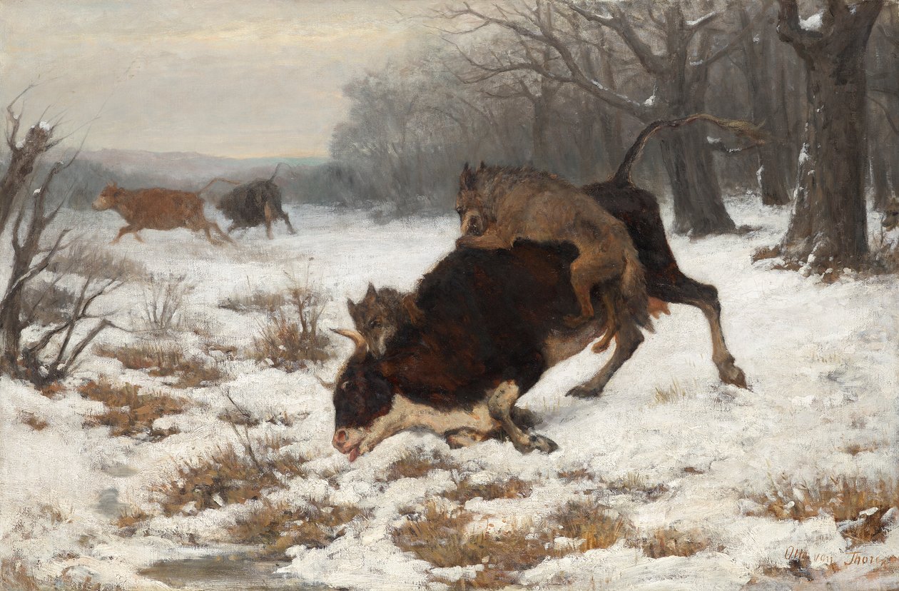 En ko blir attackerad av vargar av Otto von Thoren