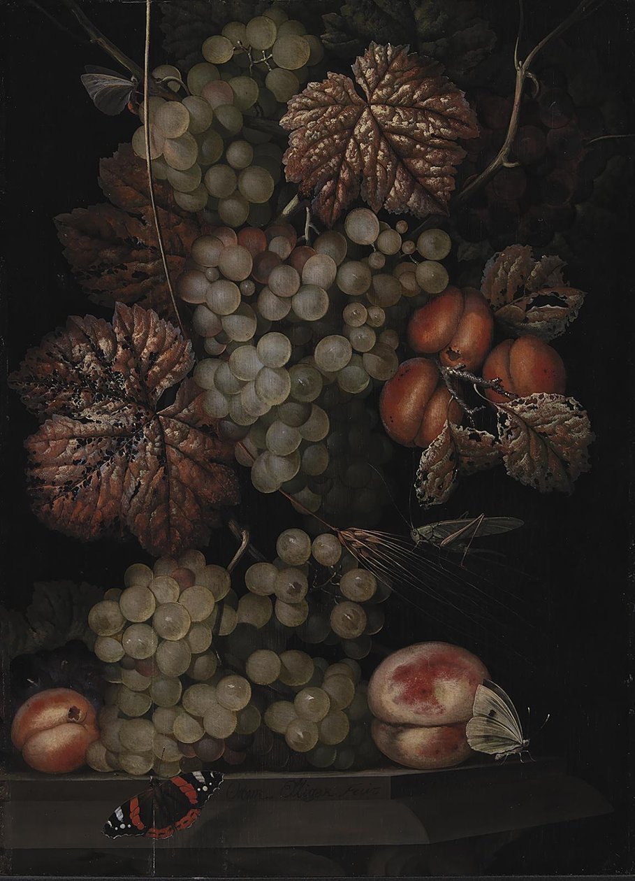 Fortfarande liv av Ottomar Elliger d.Æ.