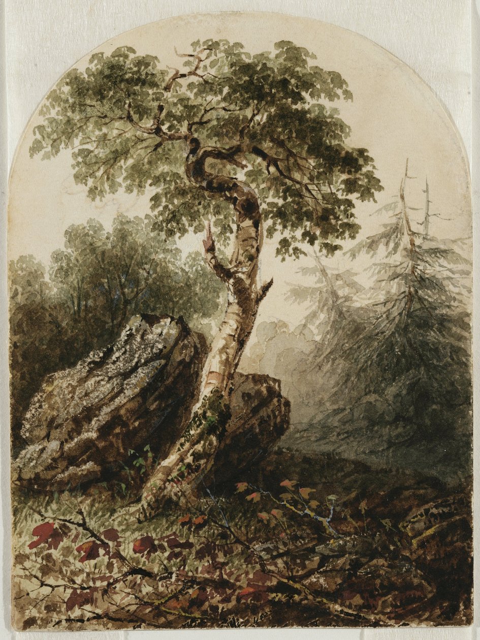 Landskap med björkträd, 1859 (wc med spår av penna och kanske inslag av gouache på krämvävt papper) av Owen G. Hanks