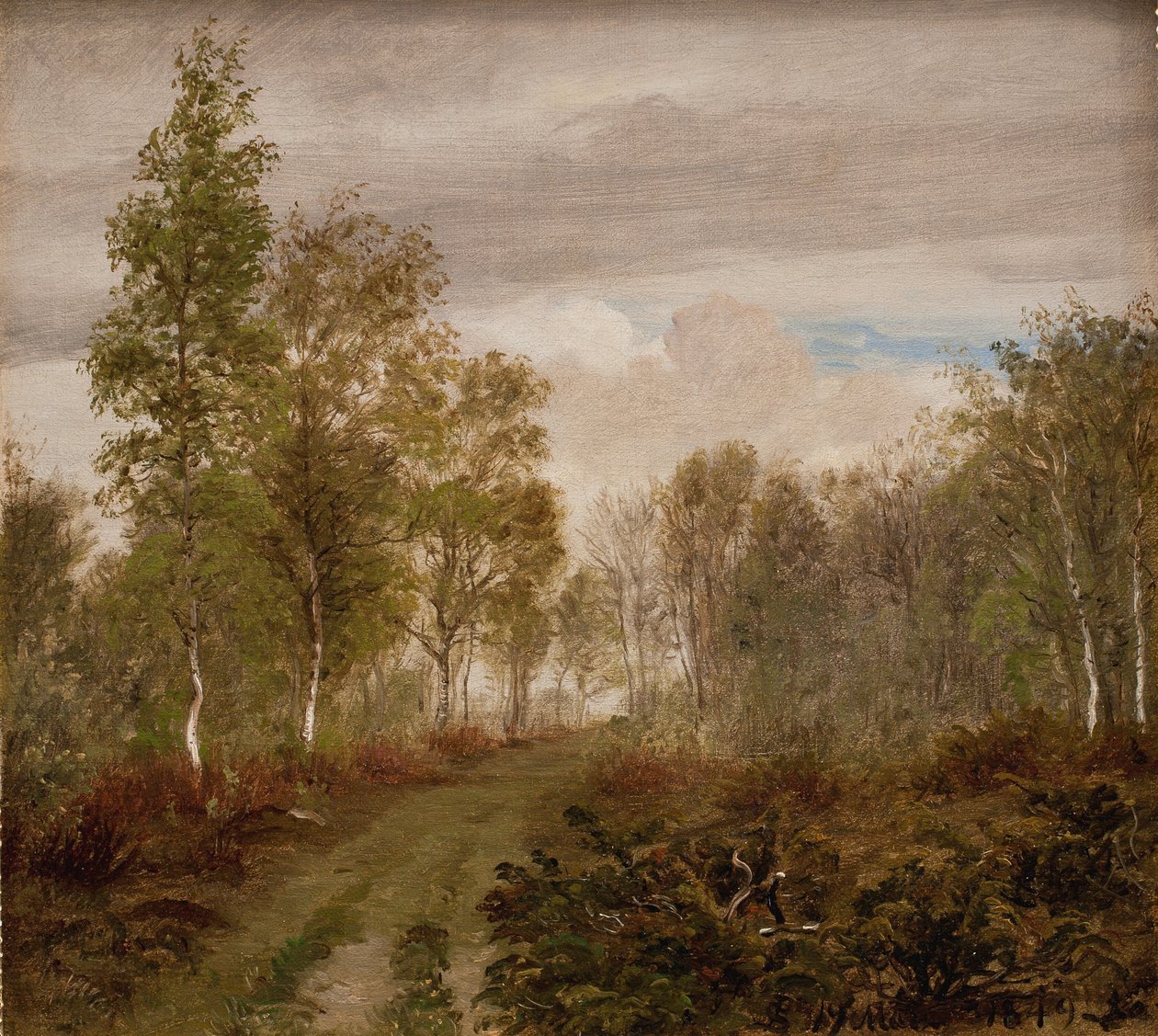 Björkar på Läsö efter regn av P.C. Skovgaard