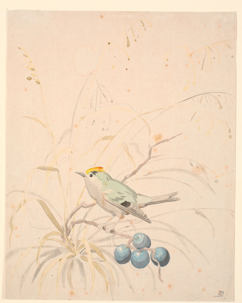 En kungfågel på en ängsgren. av P.C. Skovgaard