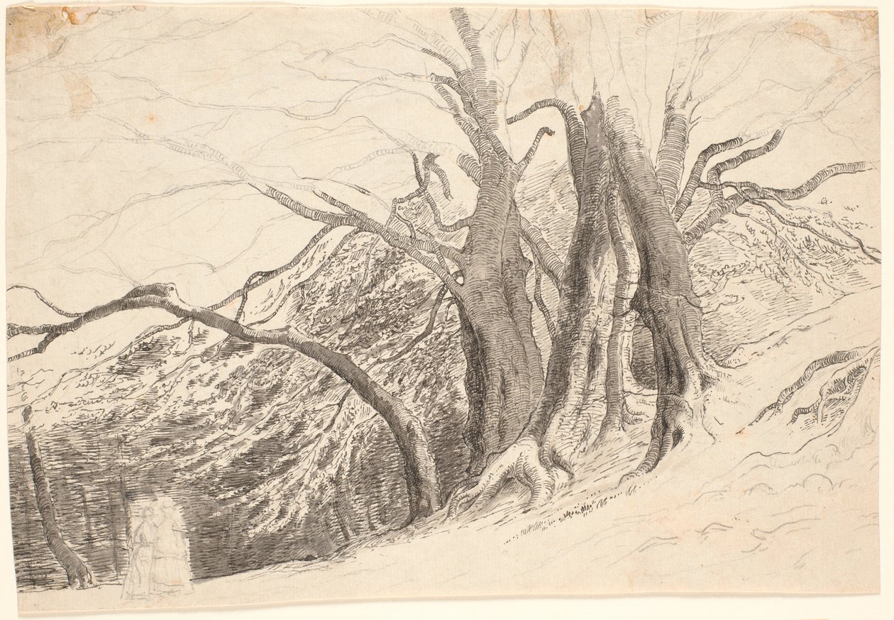 En bluff med stora träd i en skog, med två gående damer. av P.C. Skovgaard