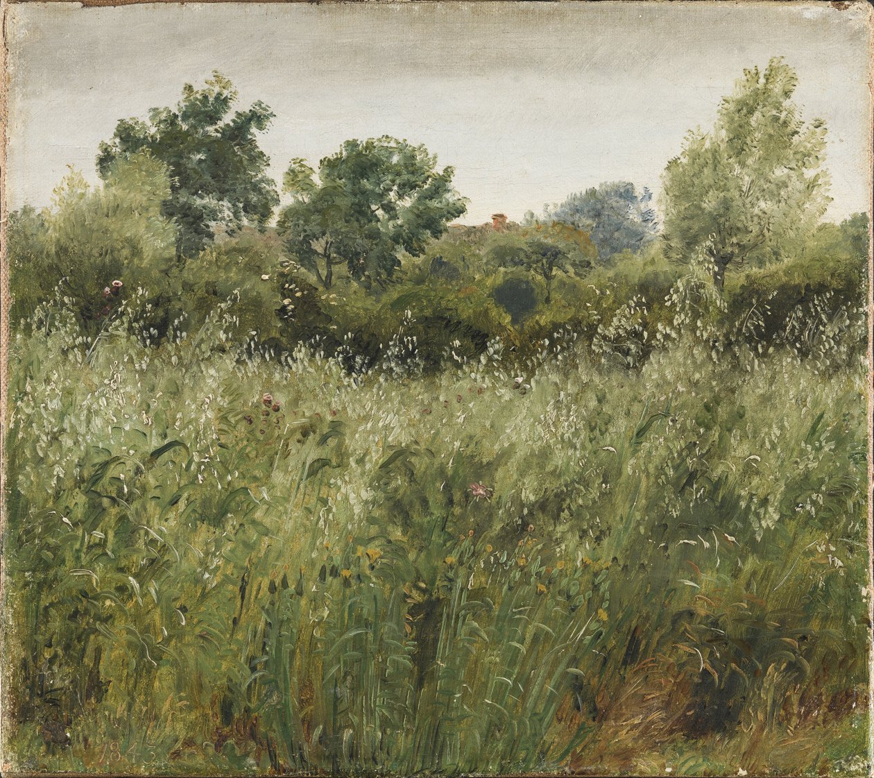 Havrefält nära Vejby av P.C. Skovgaard