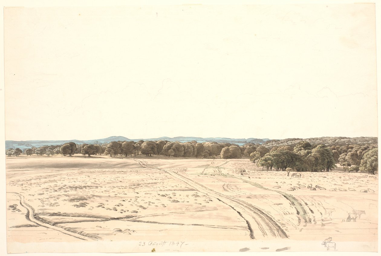Från Eremitageslätten. av P.C. Skovgaard