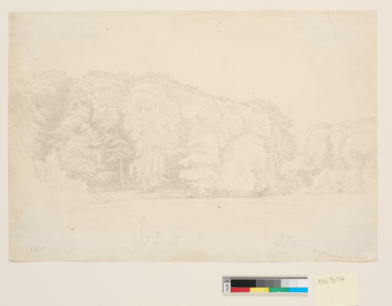 Skovsø med stora bokträd i bakgrunden. av P.C. Skovgaard