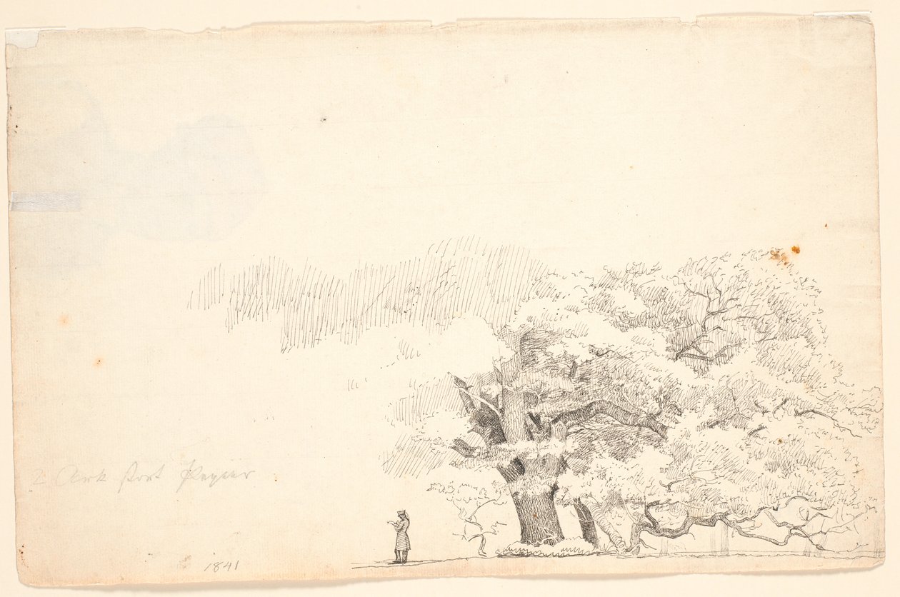Stora ekar, t.v. en läsande man. av P.C. Skovgaard