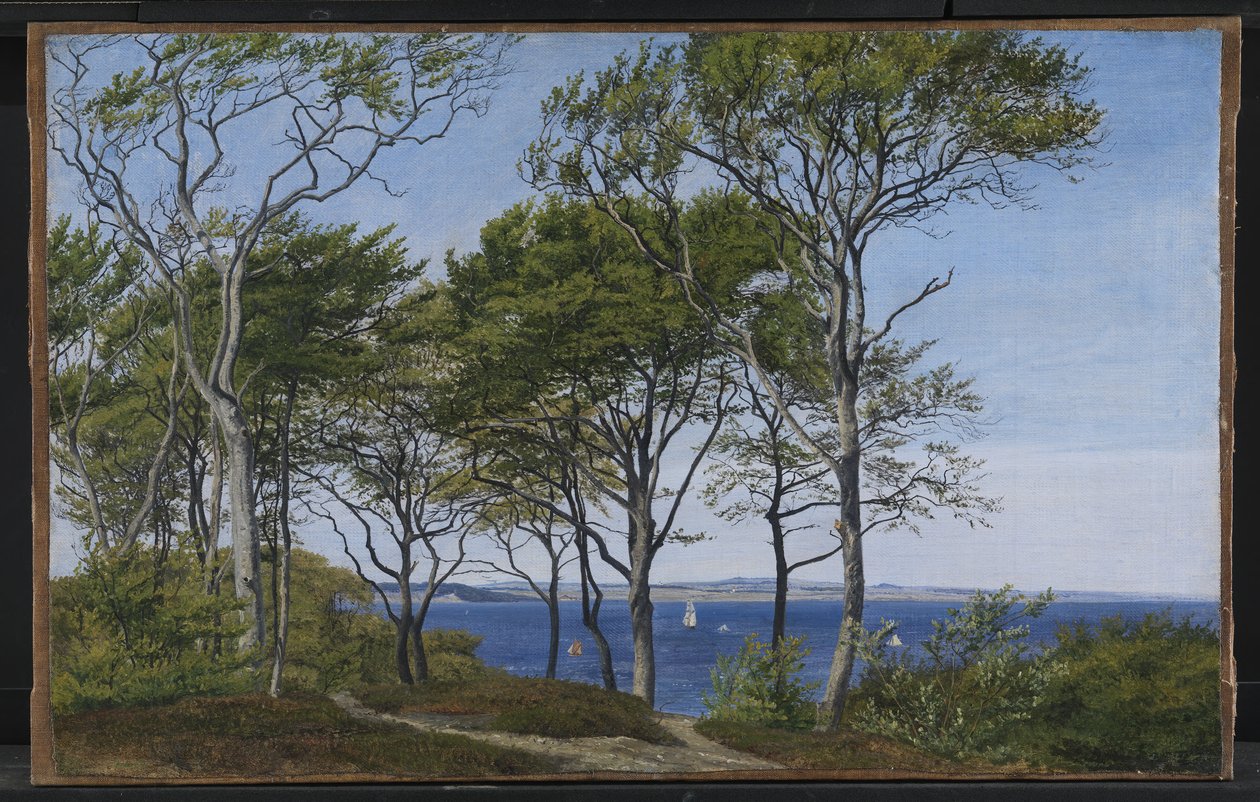 Visa genom bokträd över en fjord av P.C. Skovgaard