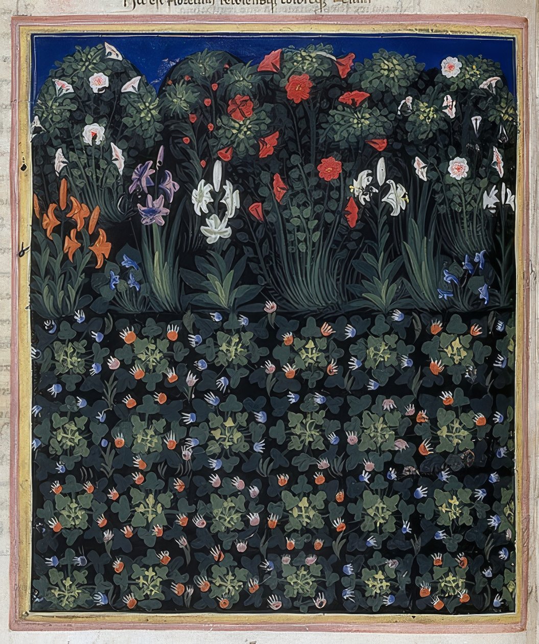 Trädgård (från: Regia Carmina av Convenevole da Prato). Omkring 1335 av Pacino di Bonaguida