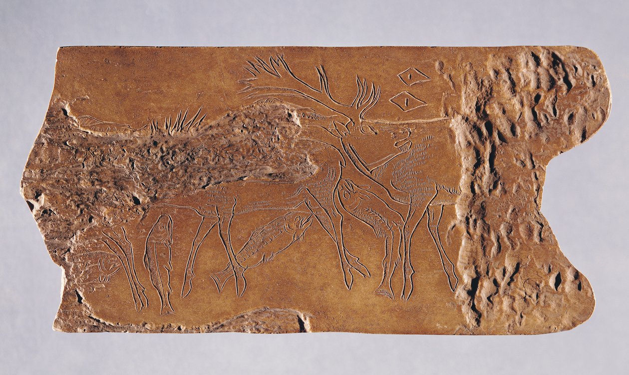 Renhorn snidat med rådjur och hoppande lax, från Grotte de Lortet, Magdalena, 15000-18000 f.Kr. (horn) av Paleolithic