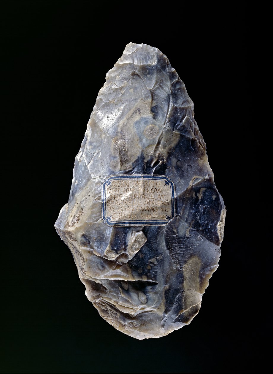 Handyxa, från St. Acheul, Somme, Amiens, Frankrike, Paleolitikum, c.200 000 f.Kr. av Paleolithic