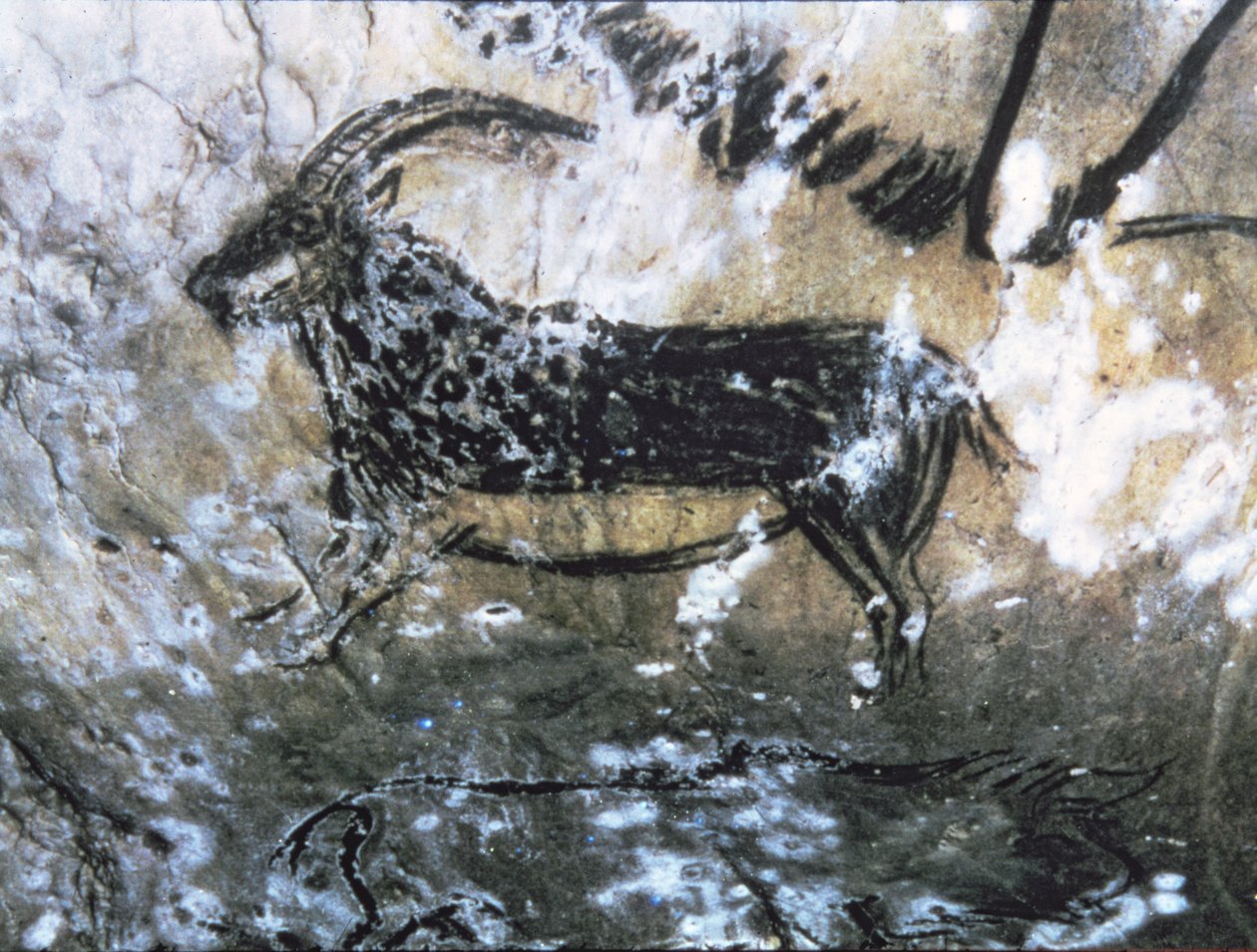 Get eller sämskskinn, hällmålning i svarta rummet, Magdalenian (grottmålning) av Paleolithic Paleolithic