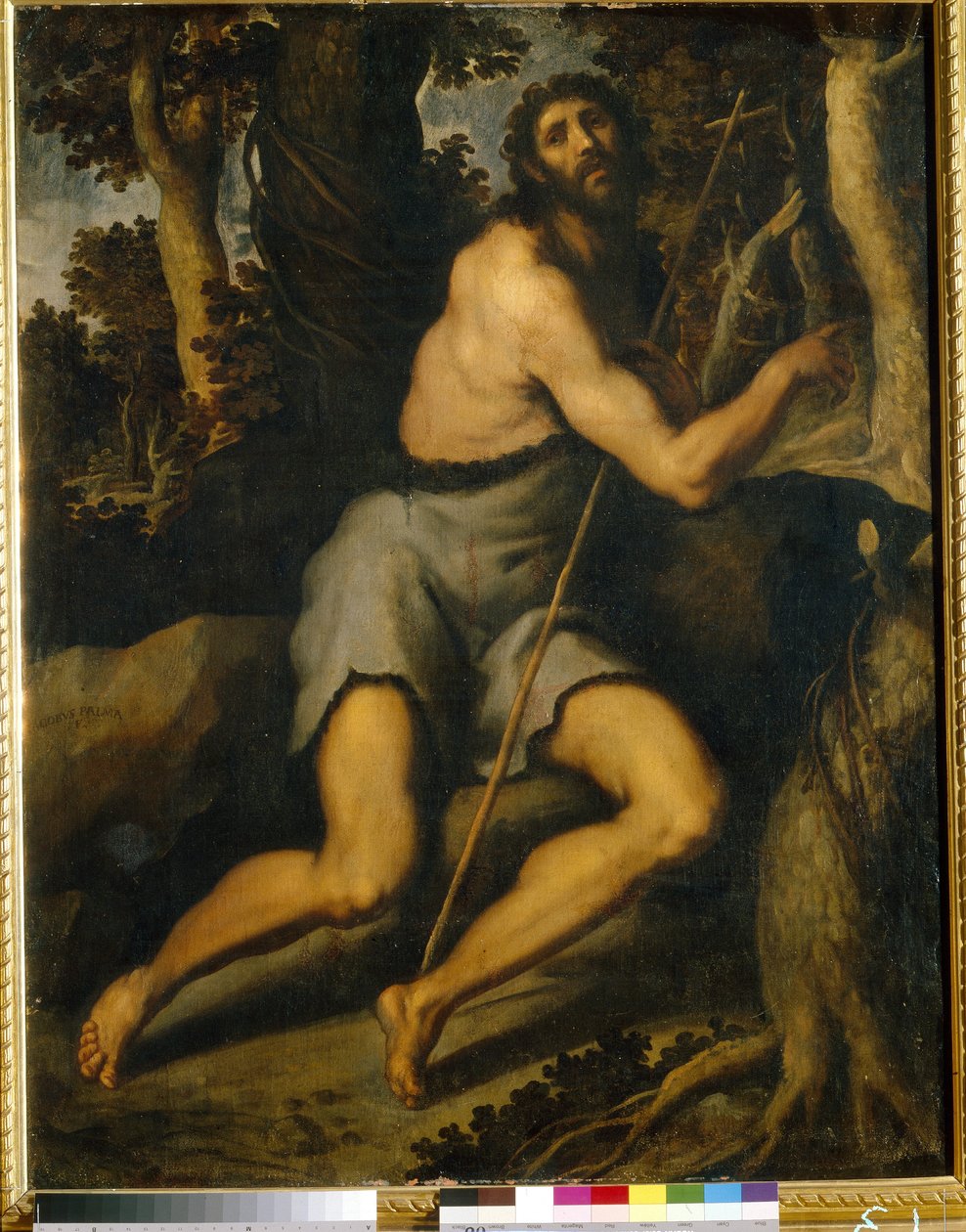 Johannes Döparen i vildmarken. Jacopo Palma il Giovane, den yngre (1544-1628), olja på duk, 1500-1600-talet. Italiensk konst (Venedig), mannerism. Museum för västerländsk och orientalisk konst, Kiev (Ukraina). av Palma Il  Giovane