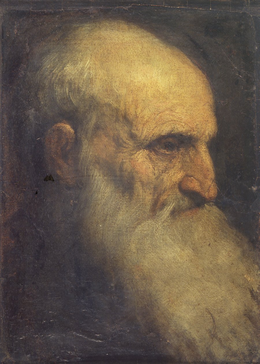 Head of a man (framsidan), c.1588-90 (olja på canvasboard) av Palma Il Giovane