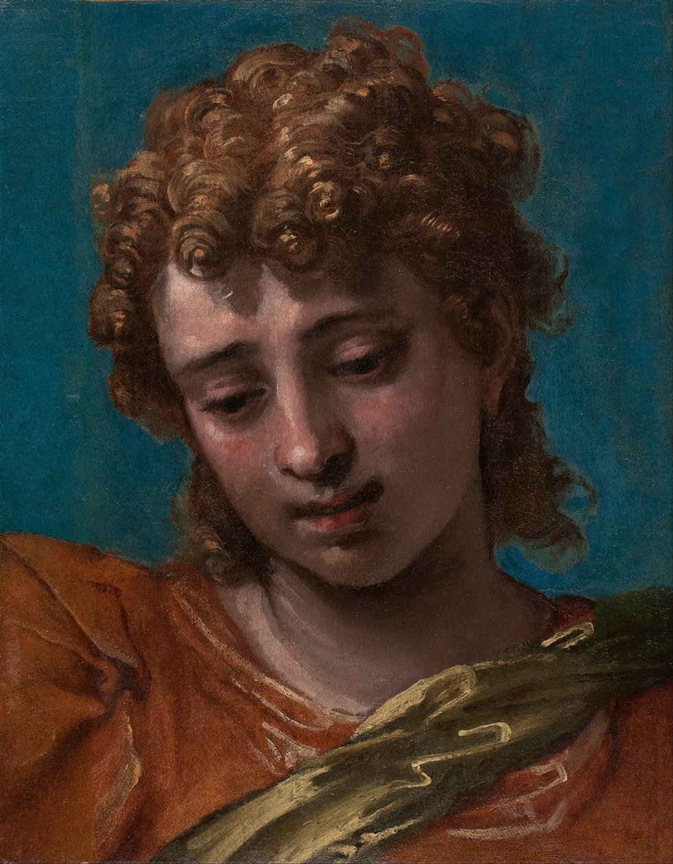Head of Saint Michael, from the Petrobelli Altarpiece av Paolo Caliari
