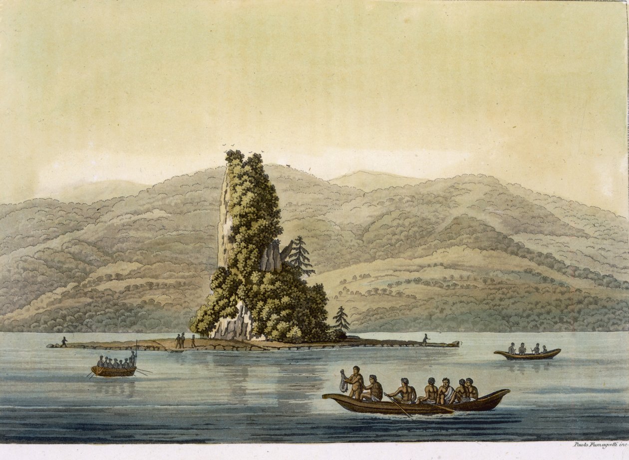 New Norfolk nära Vancouver (färggravyr) av Paolo Fumagalli