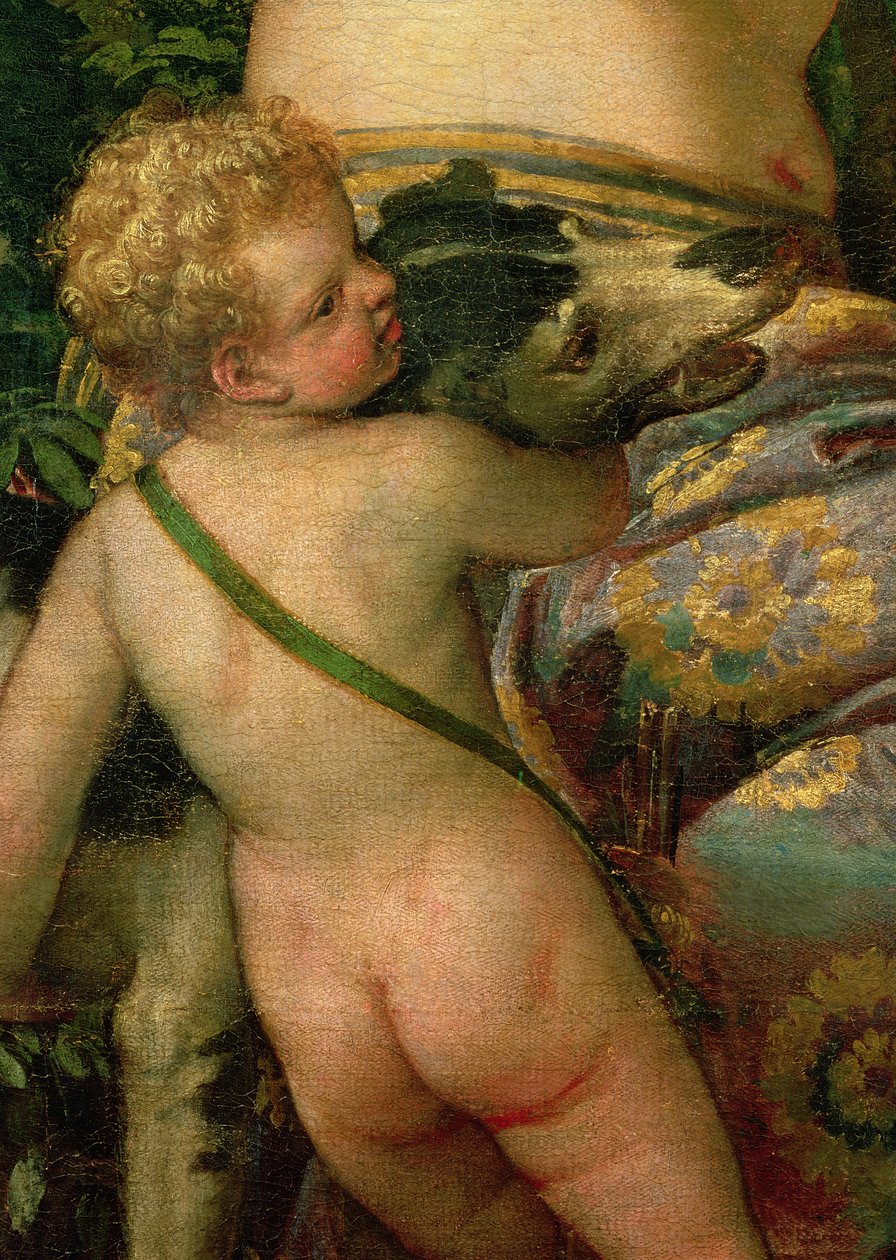 Amor, detalj från Venus och Adonis, 1580 (detalj av 38598) av Paolo Veronese