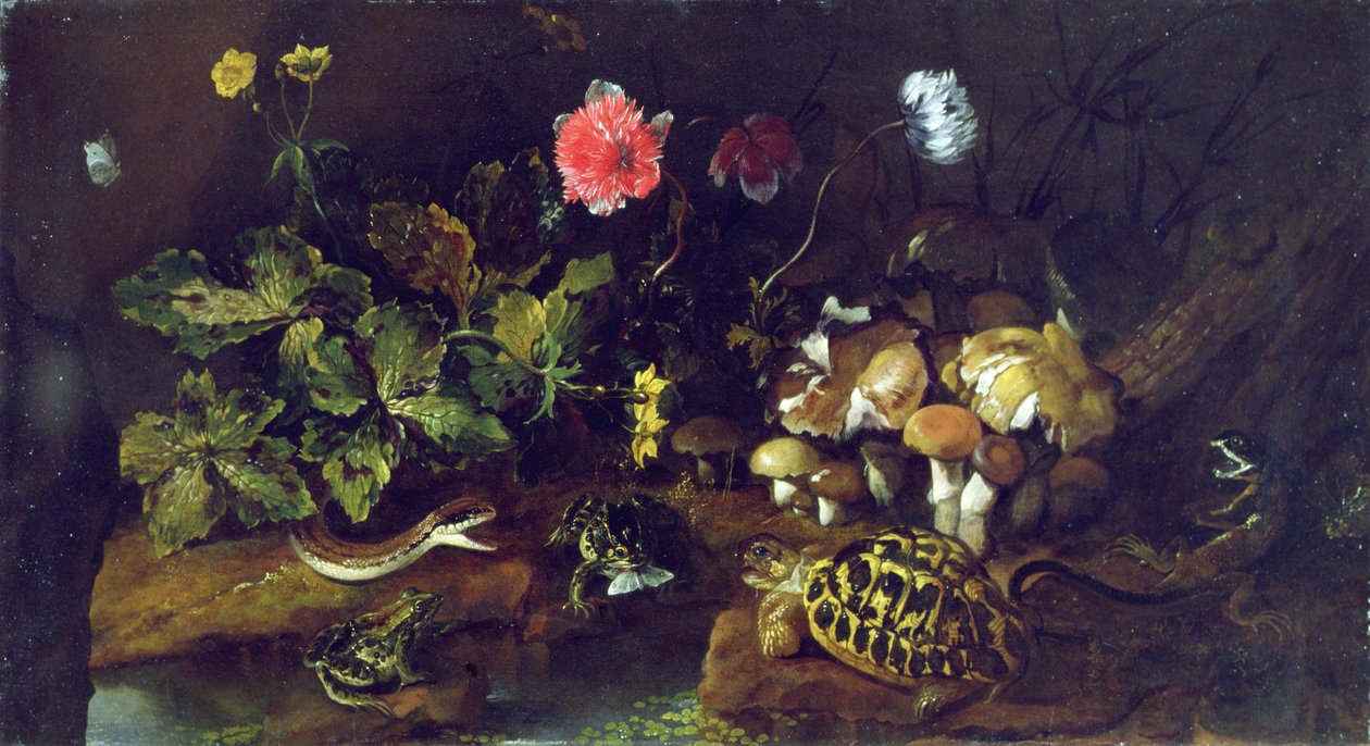 Stilleben med orm, grodor, sköldpadda och ödla (olja på duk) av Paolo Porpora