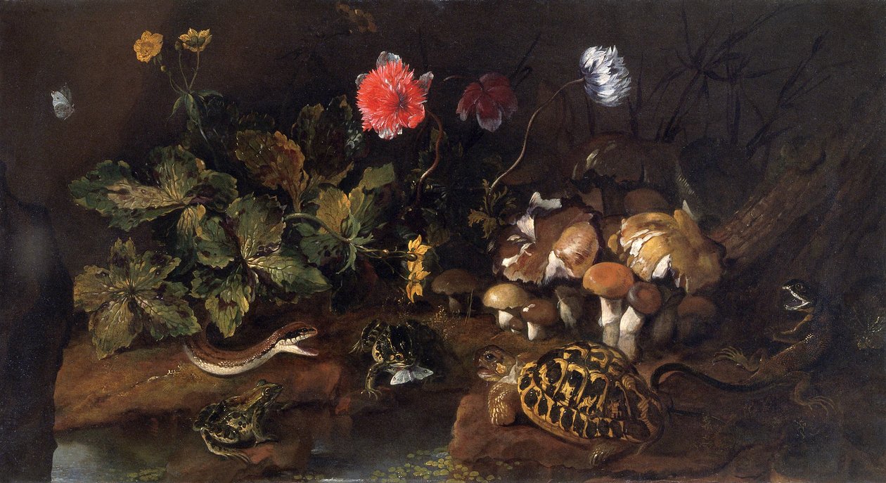 "Stilleben med en orm, grodor, sköldpadda och ödla", 1656-1673 av Paolo Porpora