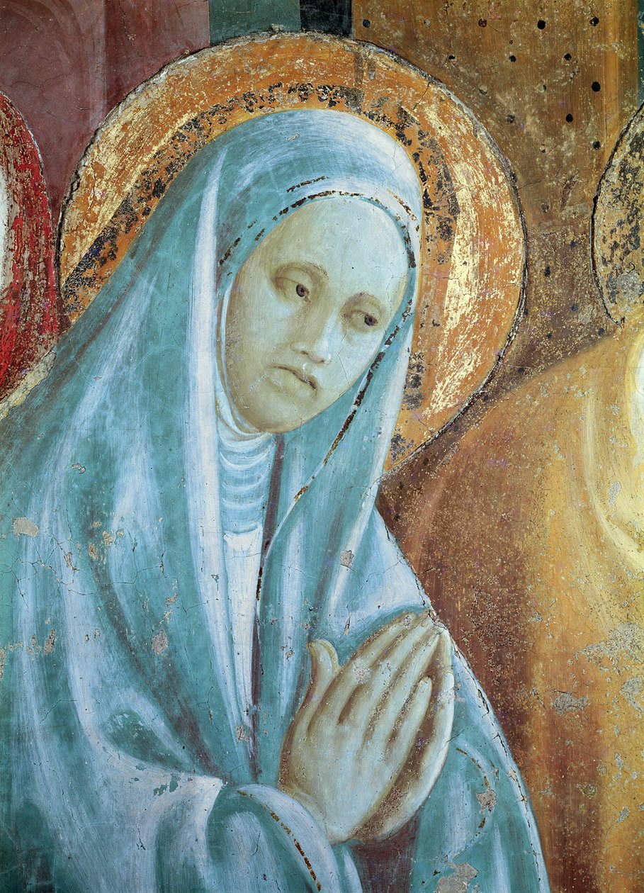 Huvudet av Saint Anne från presentationen av Maria i templet, 1433-34 (detaljer) av Paolo Uccello