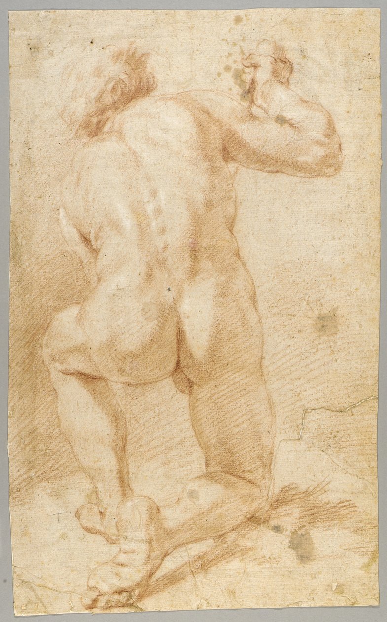 Ritning av Paolo de Matteis