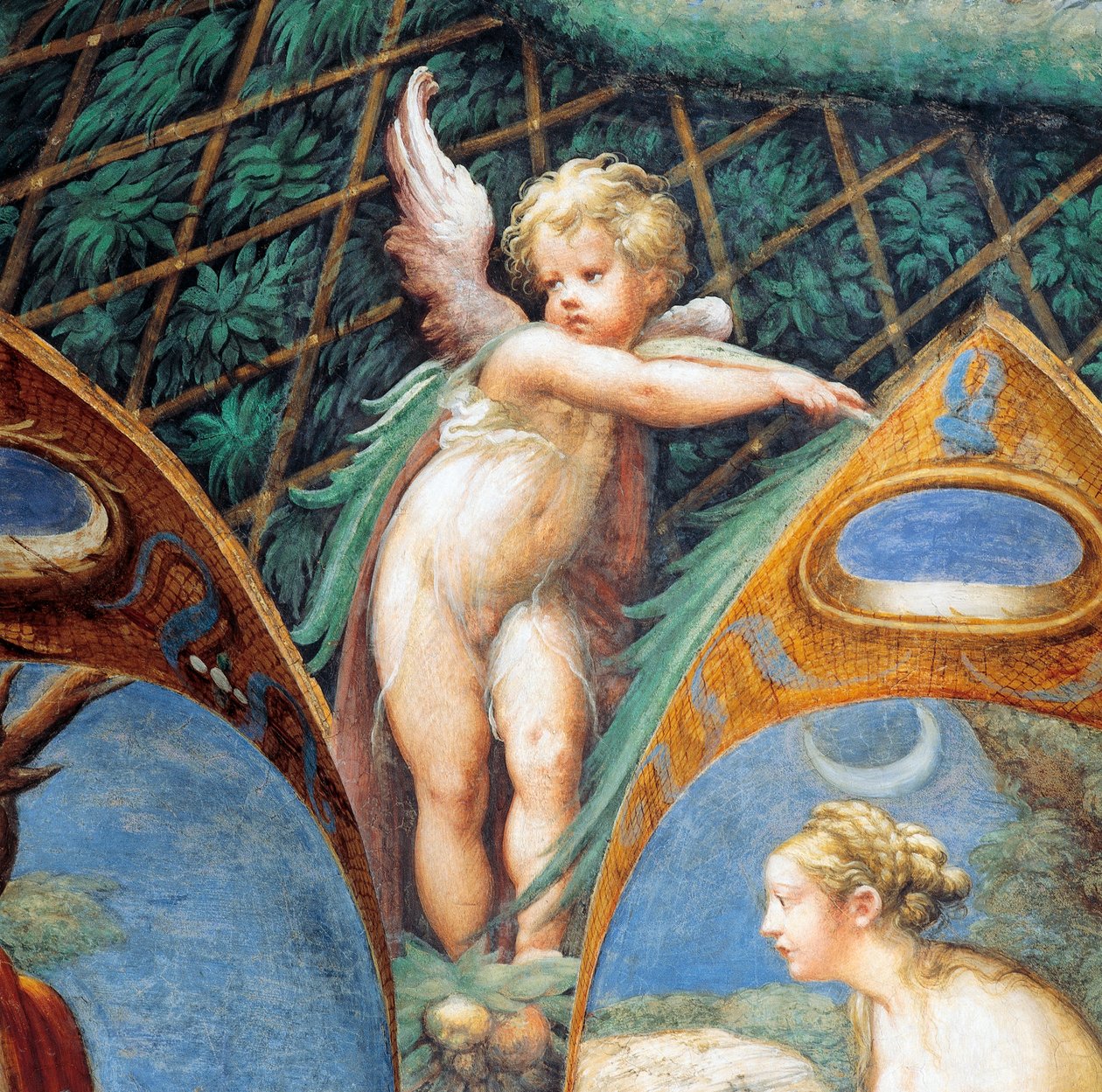 Kerub och Dianas ansikte, från Myth of Diana and Actaeon, ca av Parmigianino