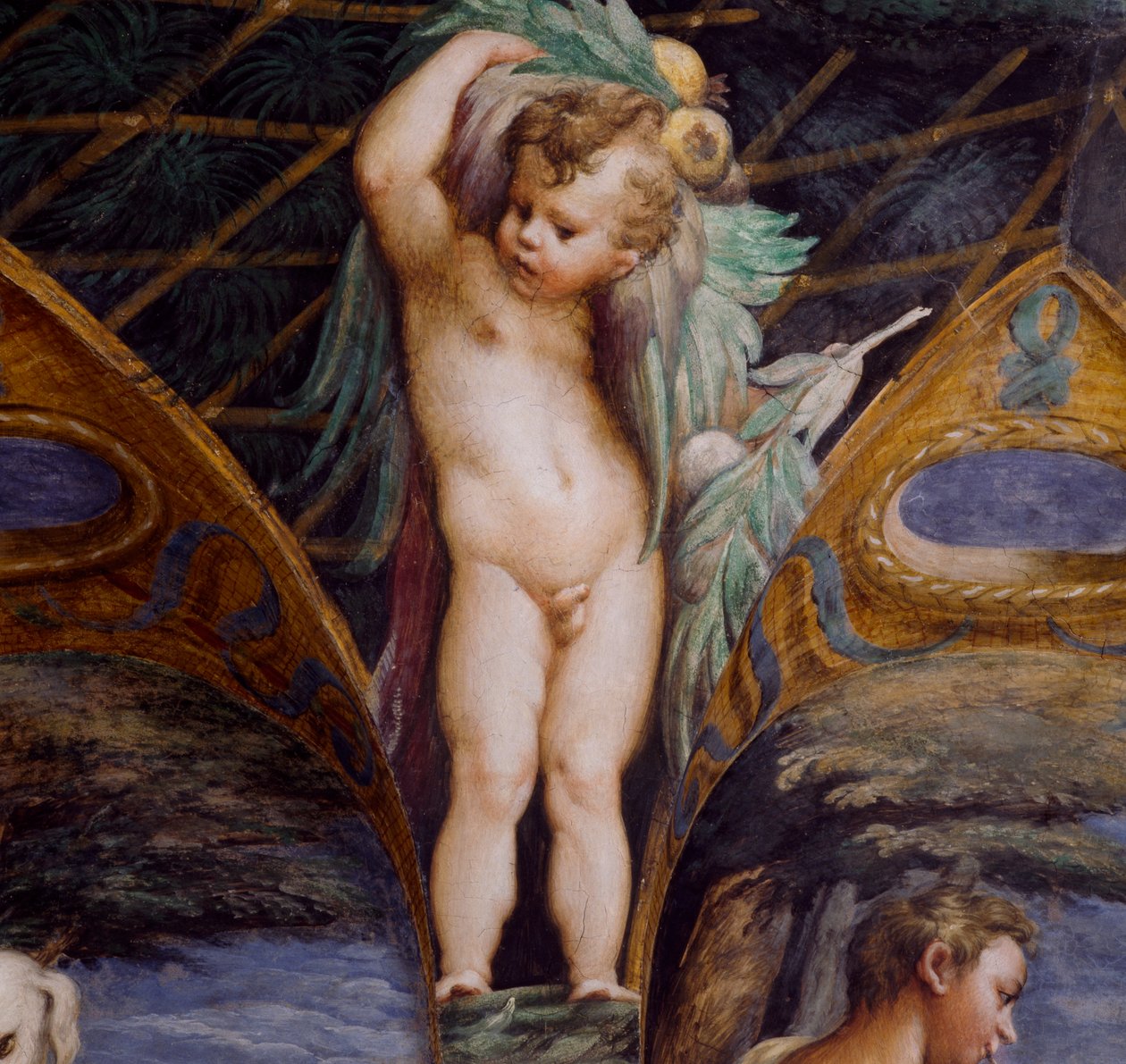 Cherub, detalj från Myth of Diana and Actaeon, ca av Parmigianino
