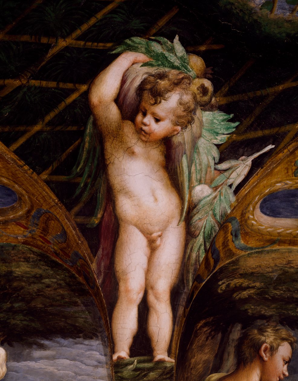 Putto, från Myth of Diana and Actaeon av Parmigianino