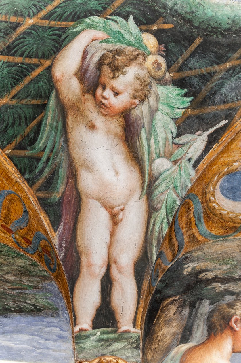 Putto, från Dianas och Actaeons rum, detalj av 2384753 av Parmigianino