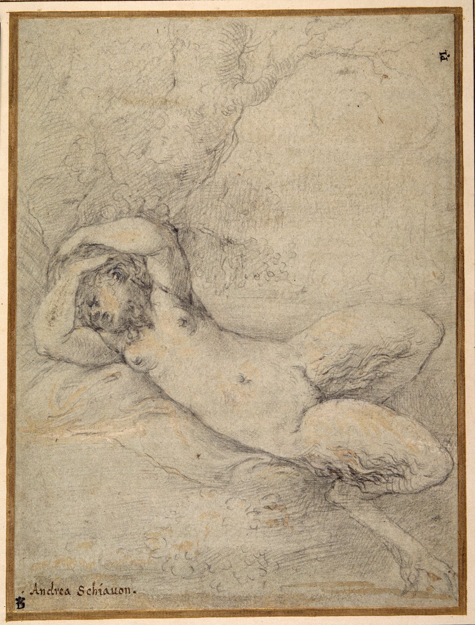 En satyrinna som sover under ett träd (svart krita med förhöjning i vit kroppsfärg på carta azzurra) av Parmigianino