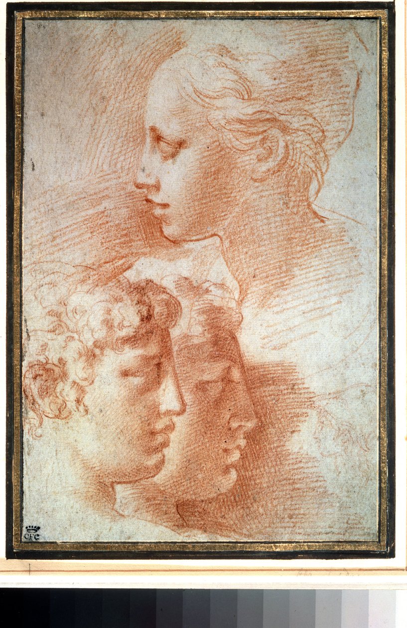 "Etude de tetes" (Studier av huvudena). Ansiktsprofil av ung flicka och pojkar. Teckning av Girolamo Francesco Maria Mazzola eller Mazzuoli dit il Parmigianino (Parmesanen av Parmigianino