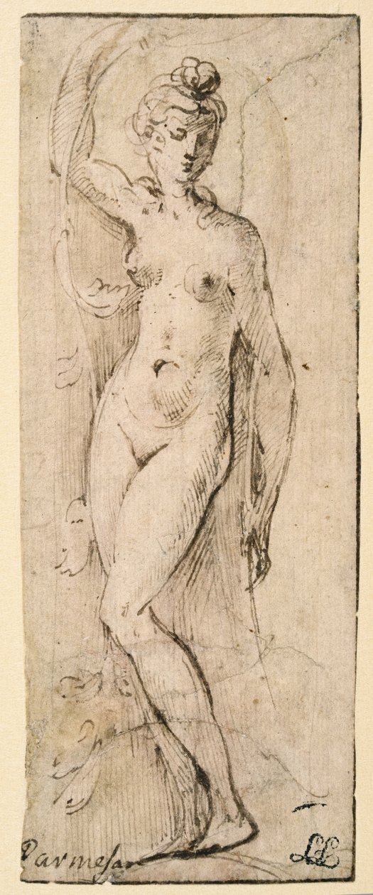 Kvinnlig figur - studie för Santa Maria della Steccata, Parma (recto) av Parmigianino