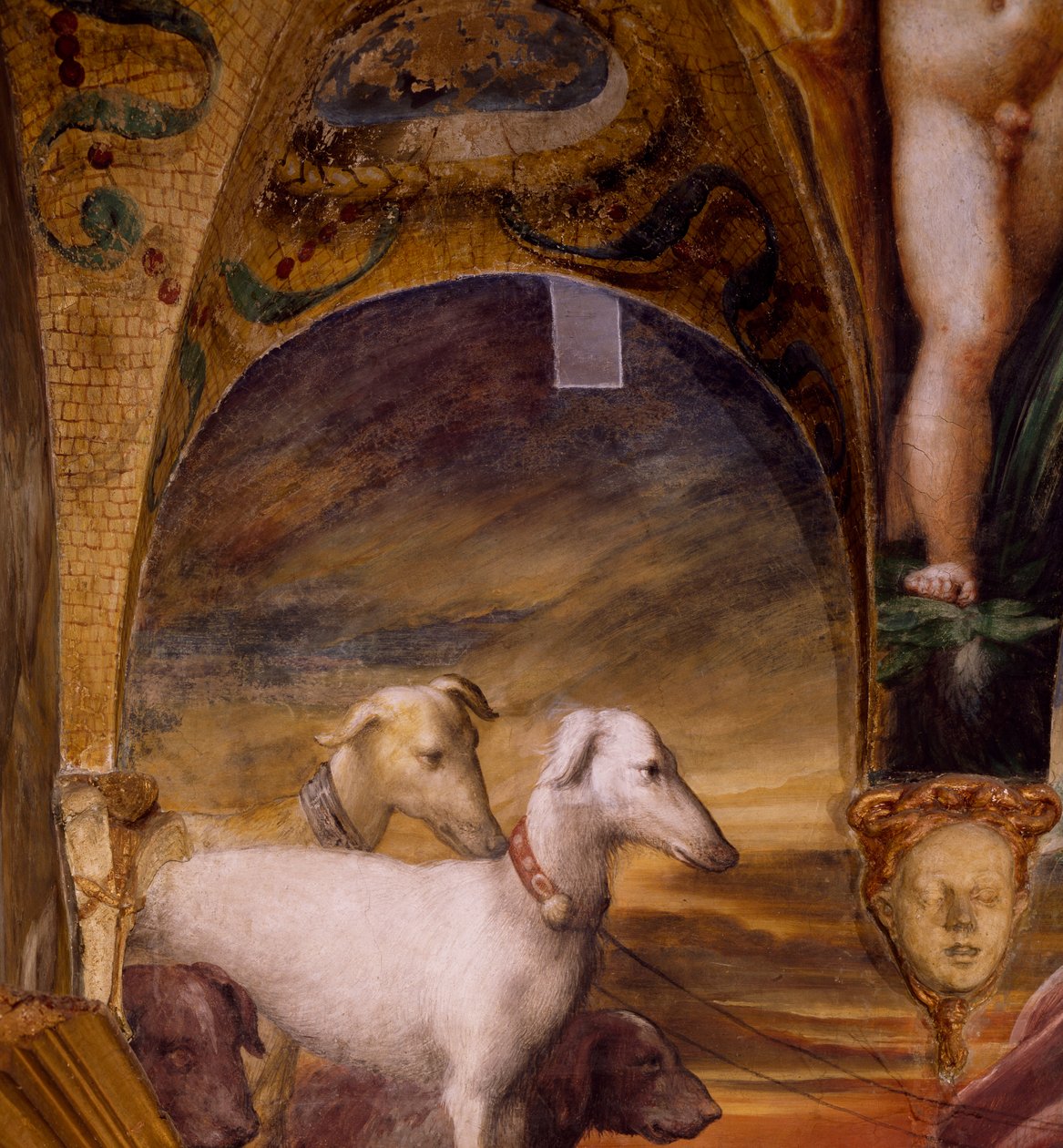 Grupp av hundar, från Myth of Diana and Actaeon av Parmigianino